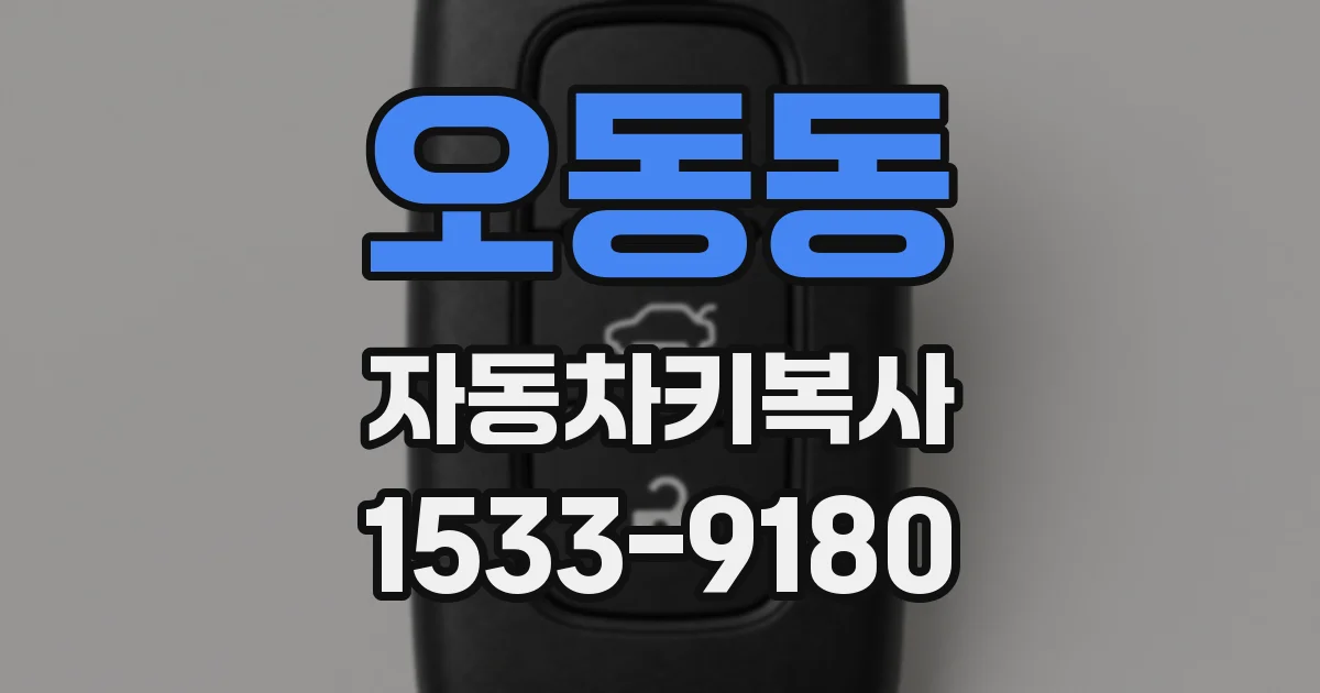 오동동 자동차키복사