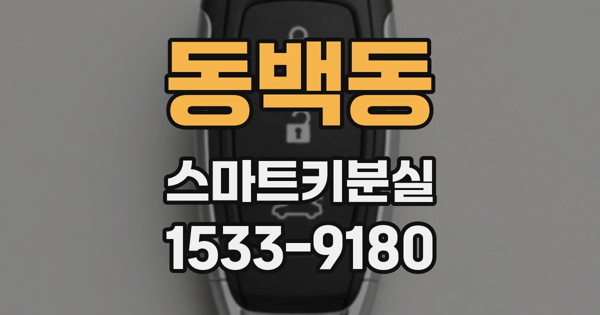 동백동 스마트키분실