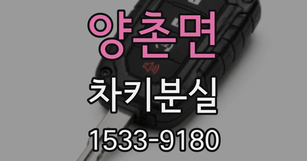양촌면 차키분실