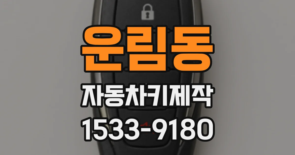 운림동 자동차키제작