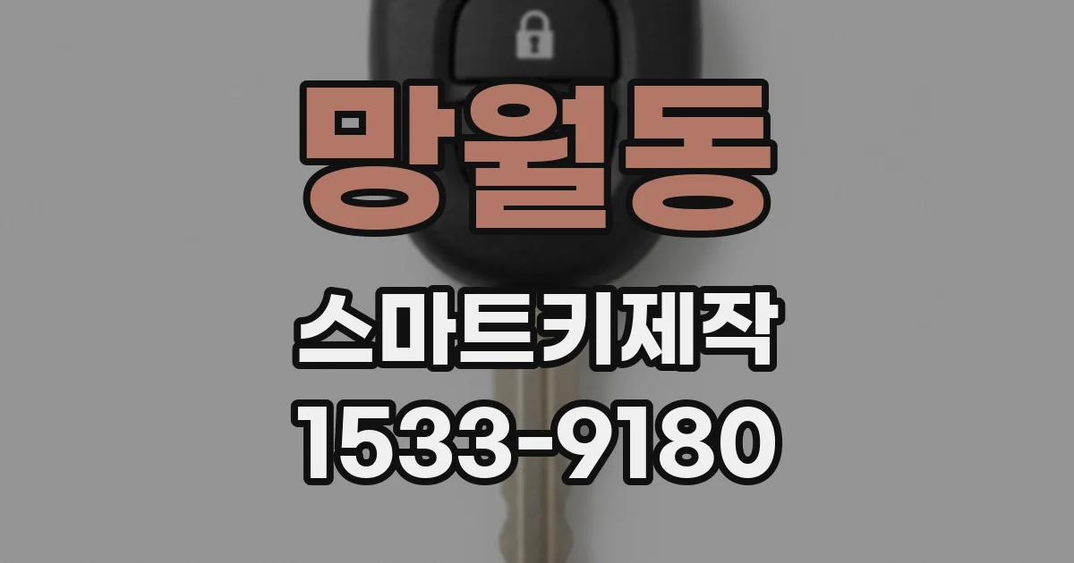 망월동 스마트키제작
