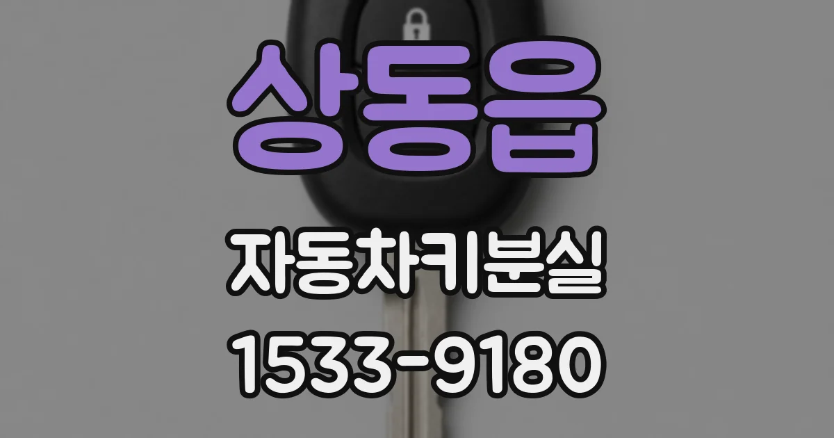 상동읍 자동차키분실