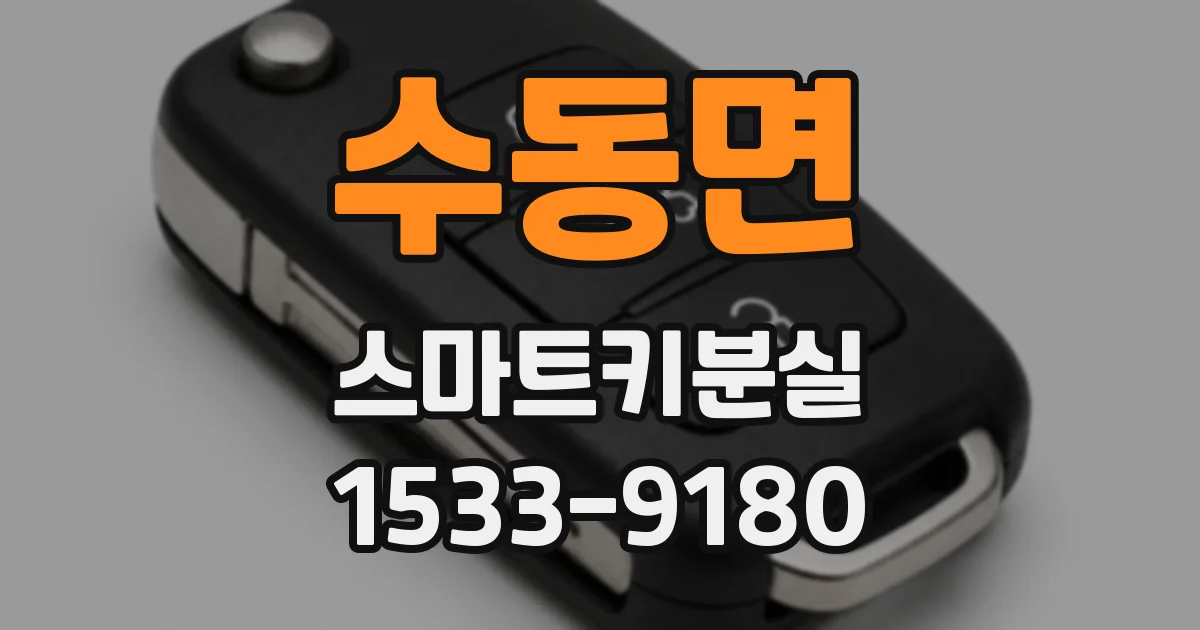 수동면 스마트키분실