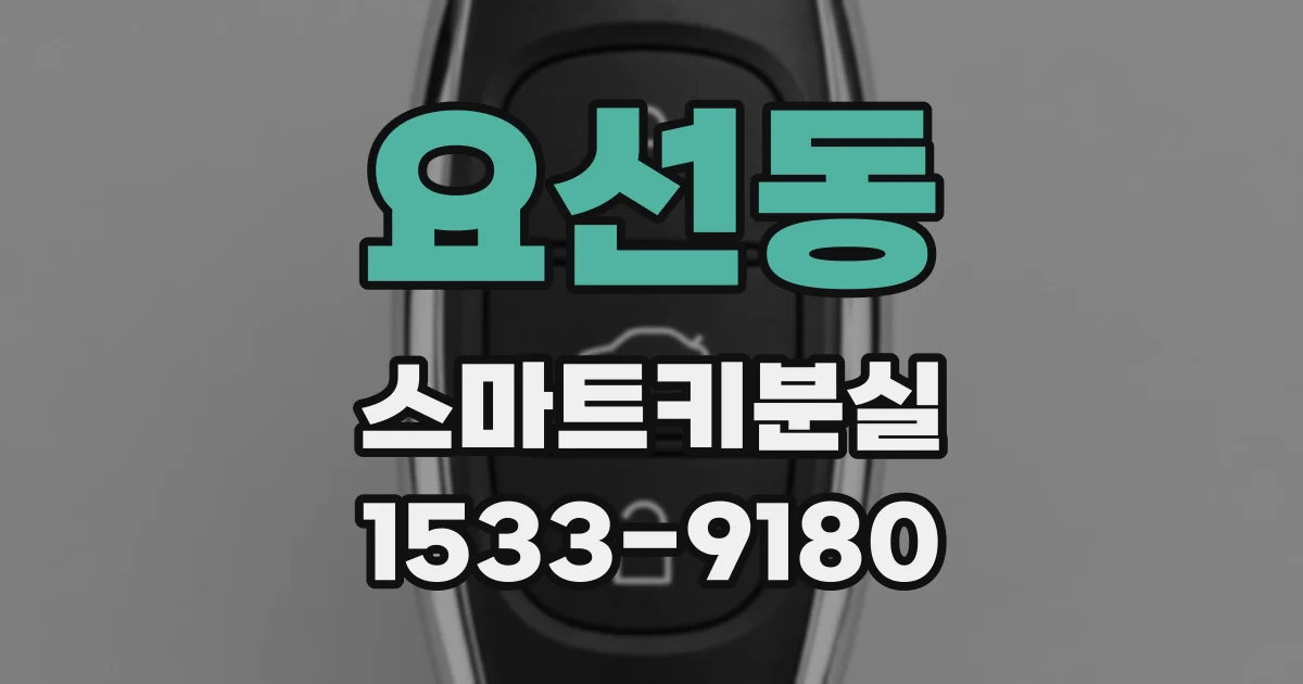 요선동 스마트키분실