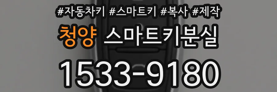 청양 스마트키분실