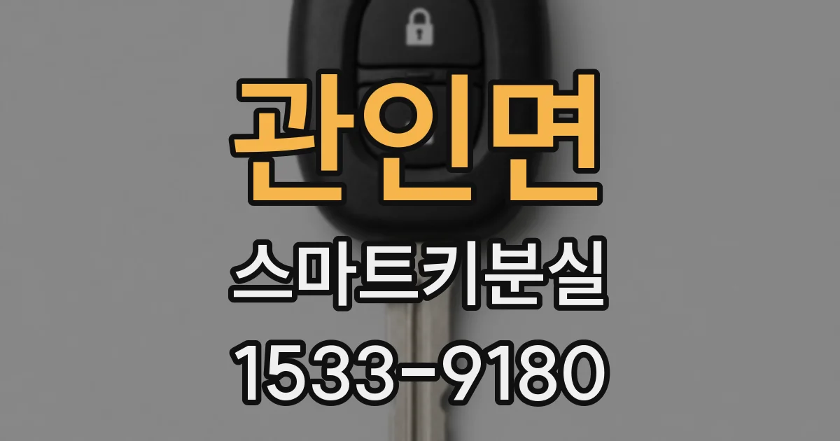 관인면 스마트키분실