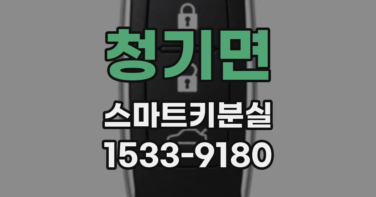 청기면 스마트키분실