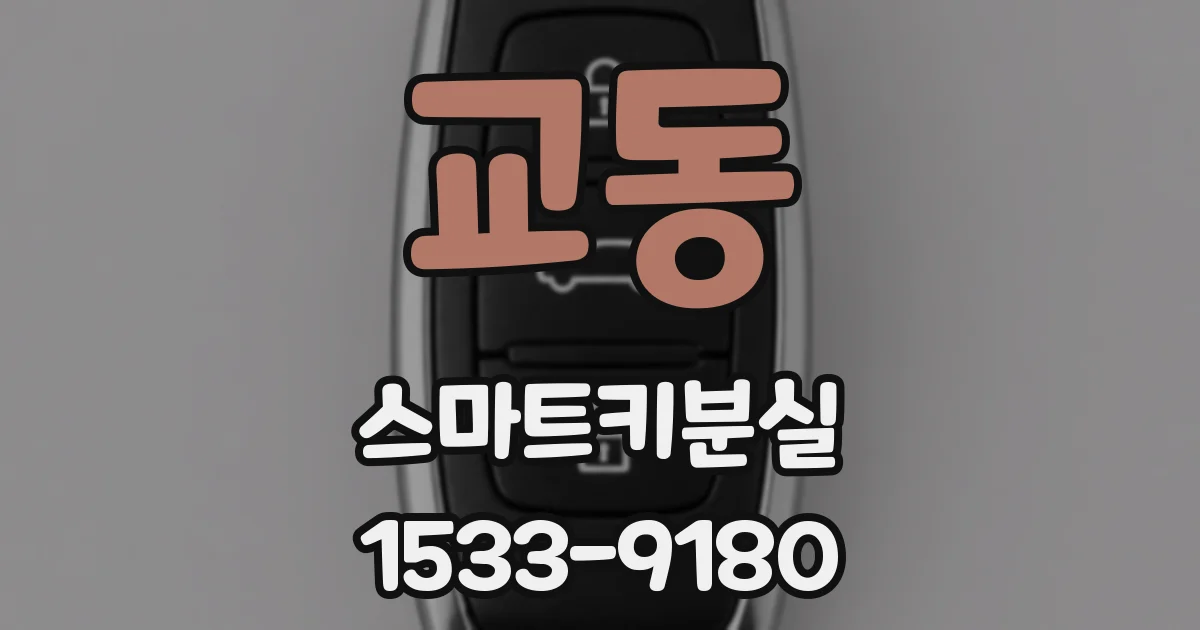 교동 스마트키분실
