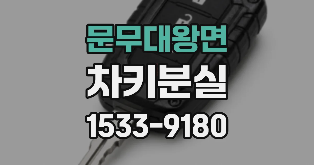 문무대왕면 차키분실