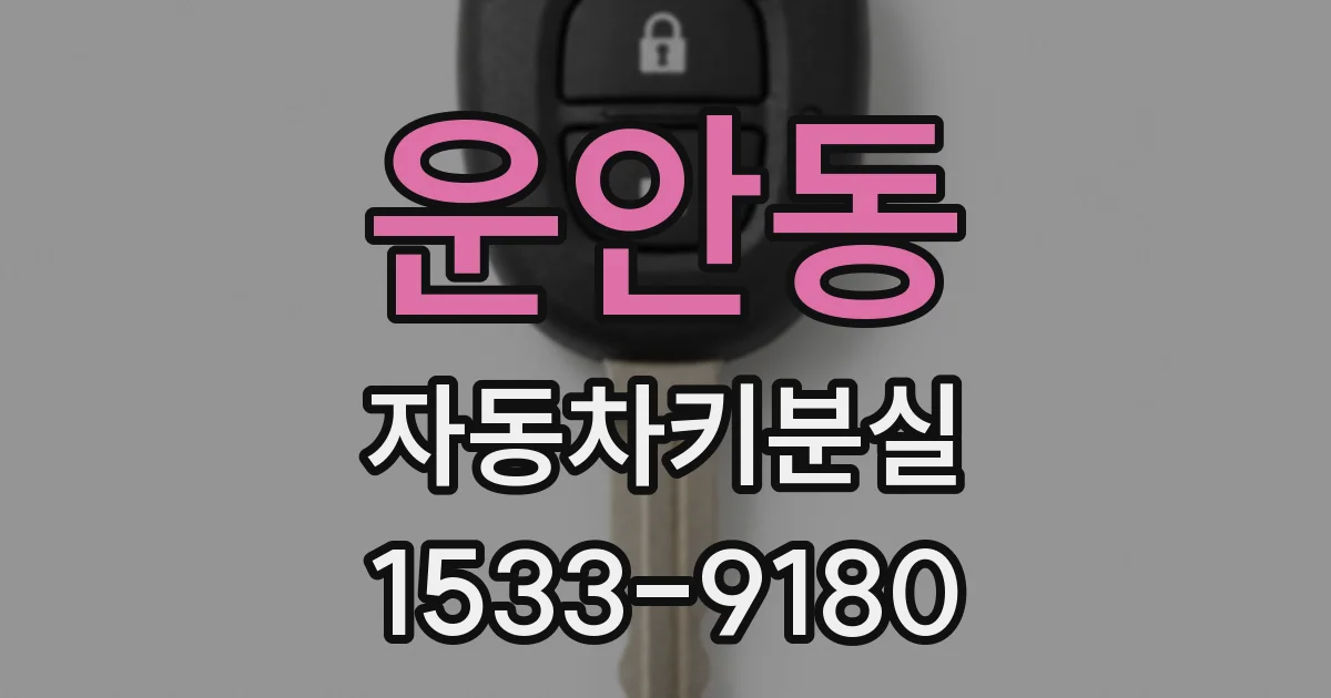 운안동 자동차키분실