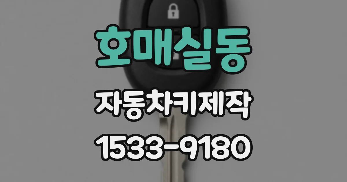 호매실동 자동차키제작