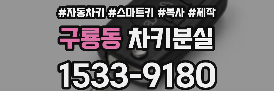 구룡동 차키분실
