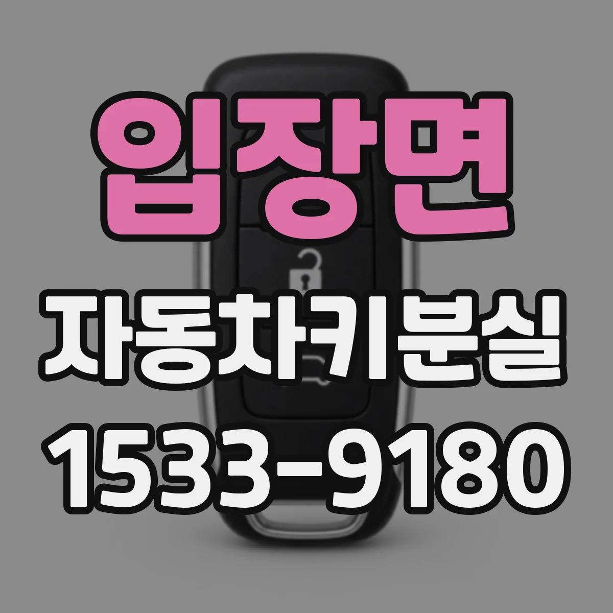 입장면 자동차키분실