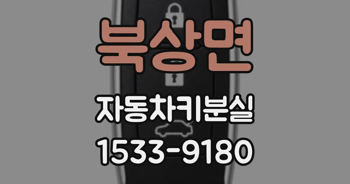 북상면 자동차키분실