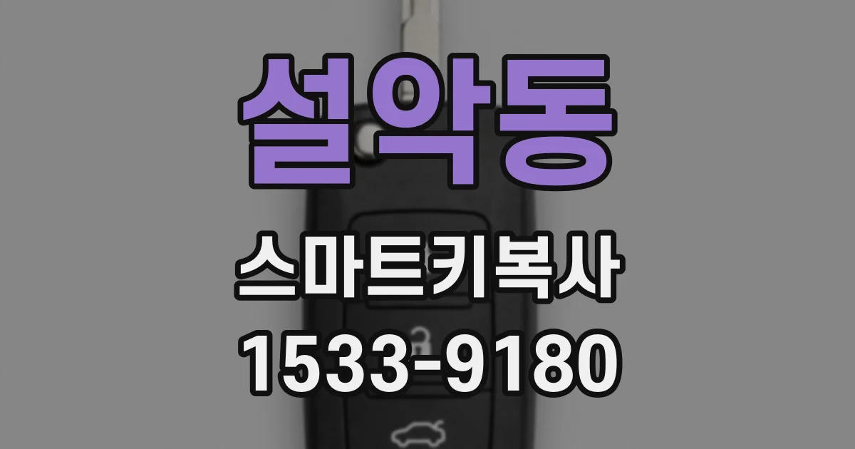 설악동 스마트키복사