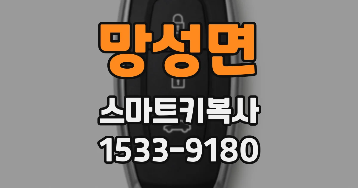 망성면 스마트키복사