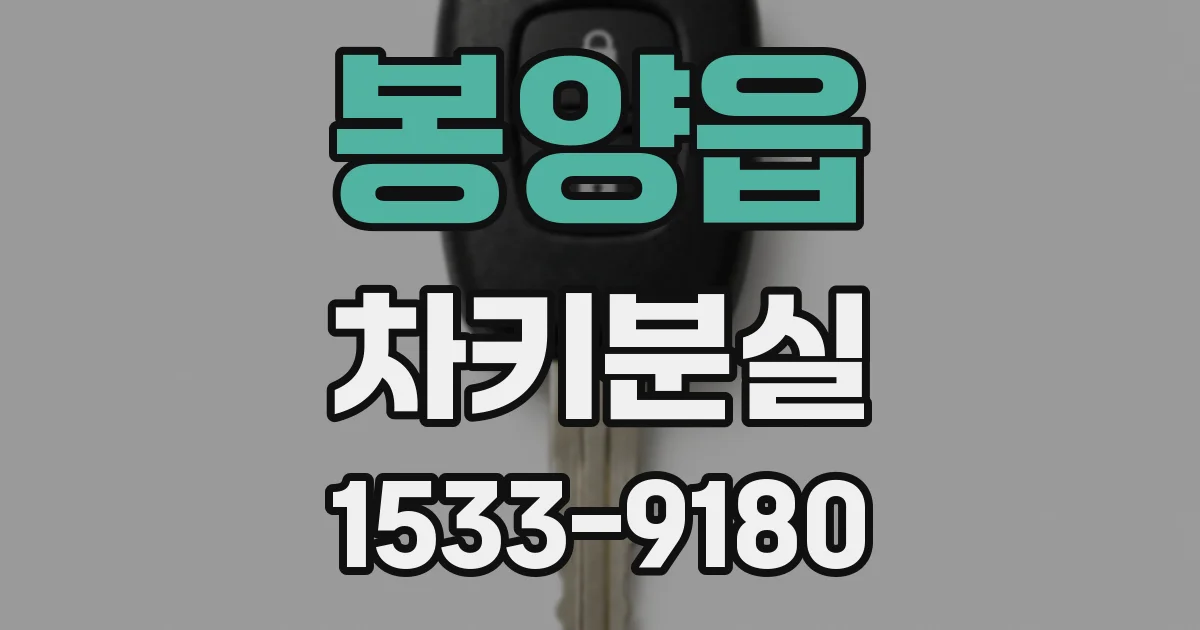 봉양읍 차키분실