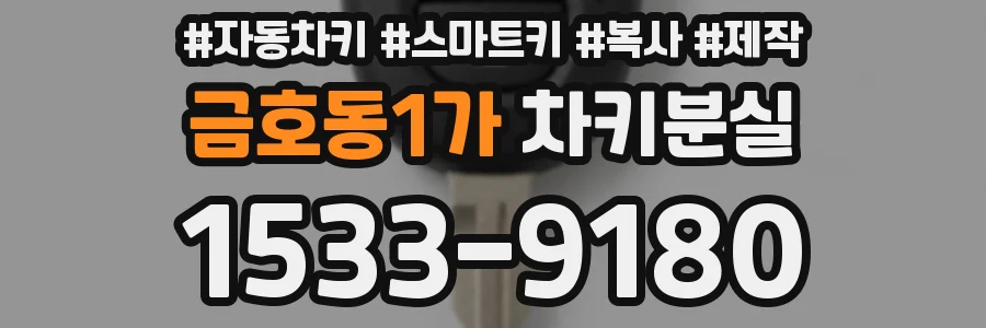 금호동1가 차키분실