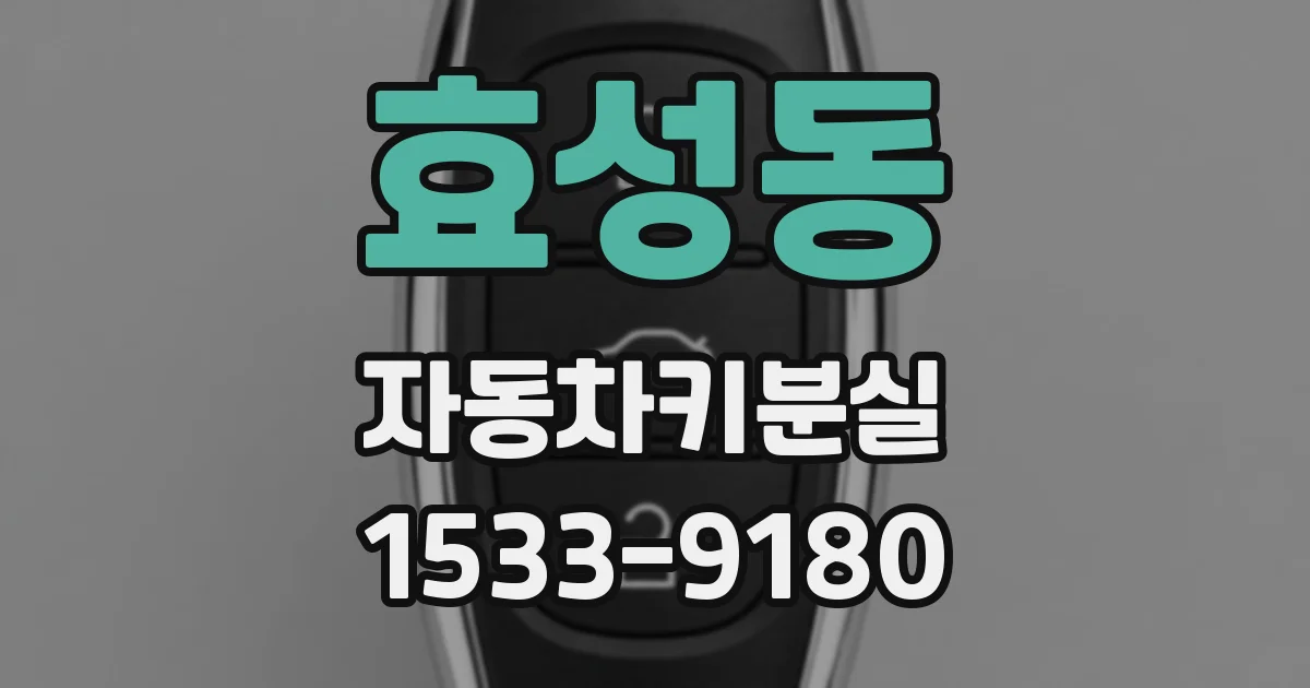 효성동 자동차키분실