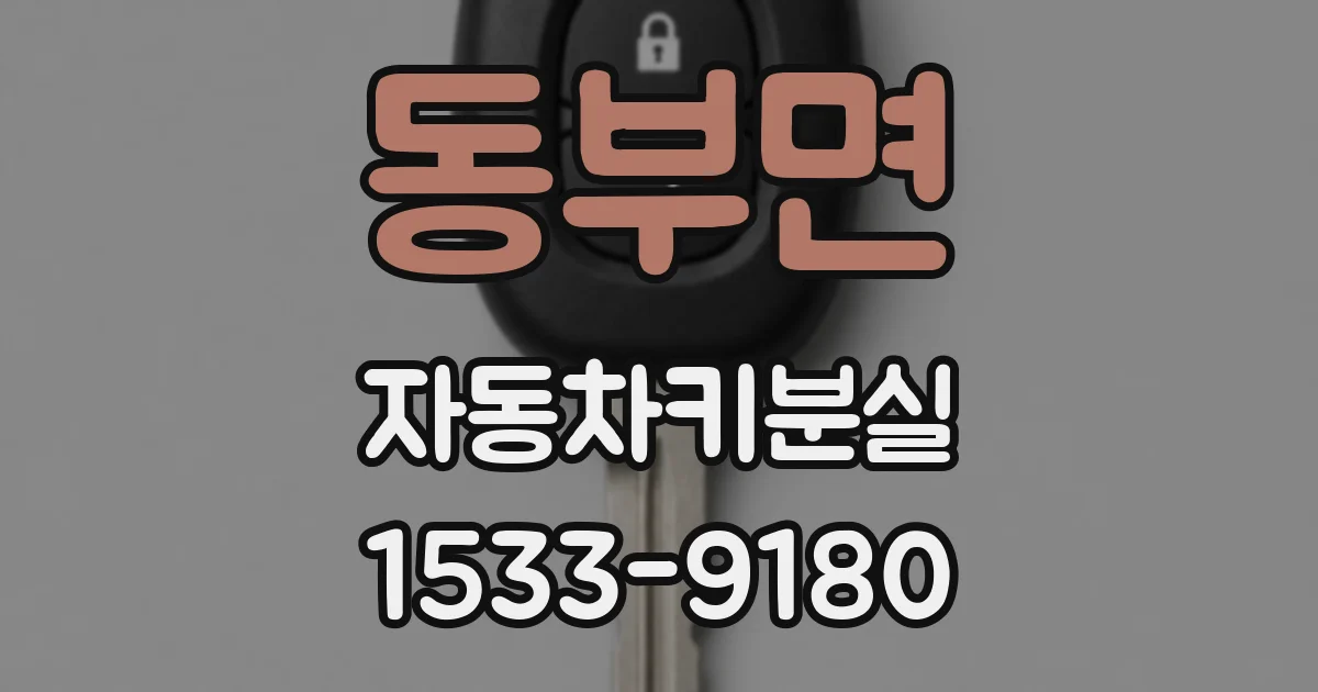 동부면 자동차키분실