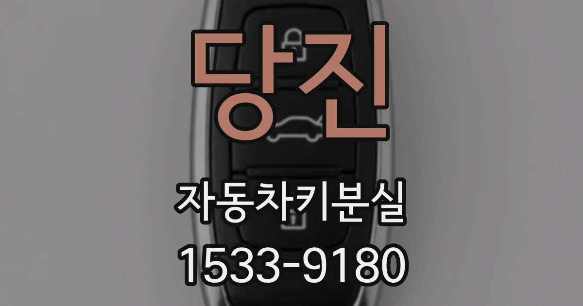 당진 자동차키분실