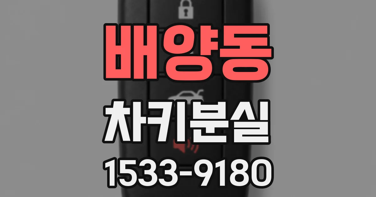 배양동 차키분실