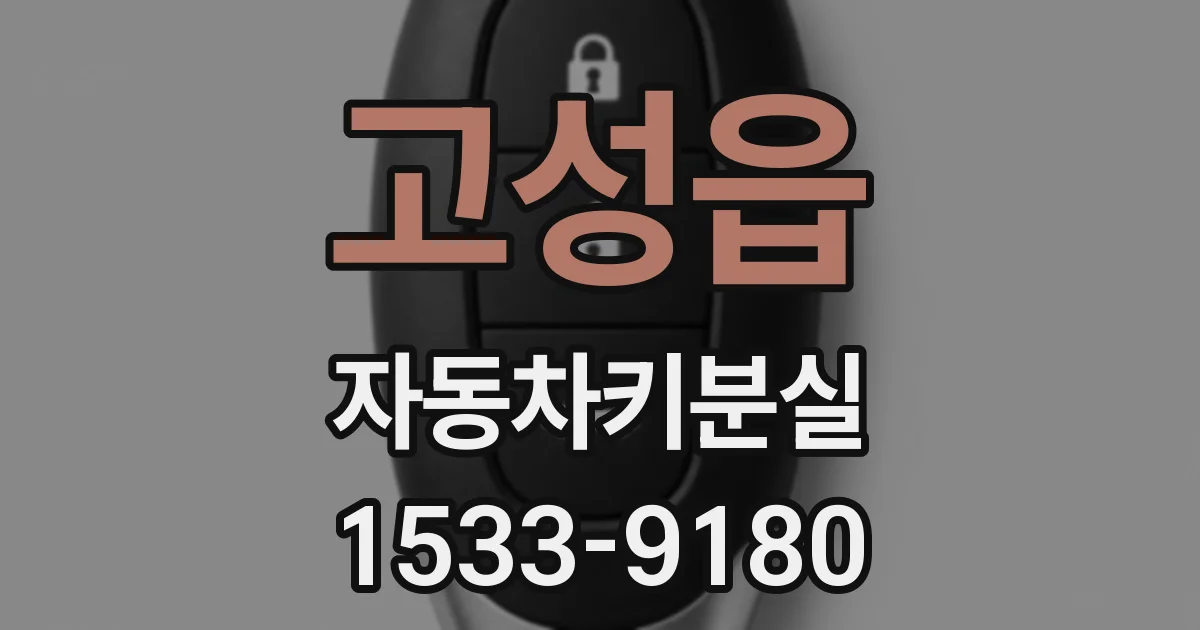 고성읍 자동차키분실