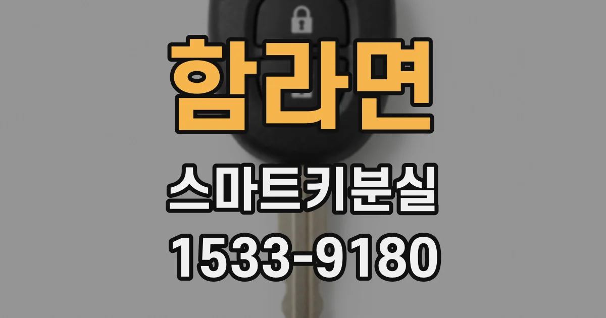 함라면 스마트키분실