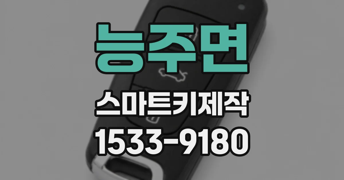 능주면 스마트키제작