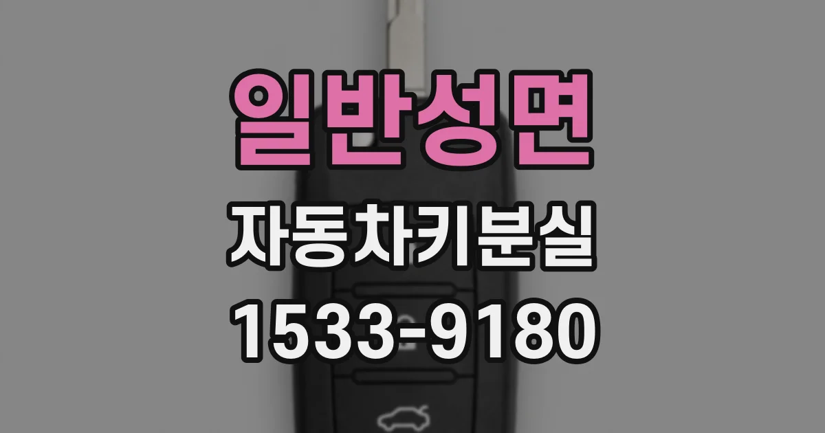 일반성면 자동차키분실