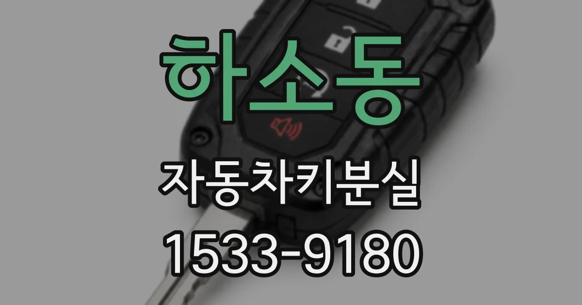 하소동 자동차키분실