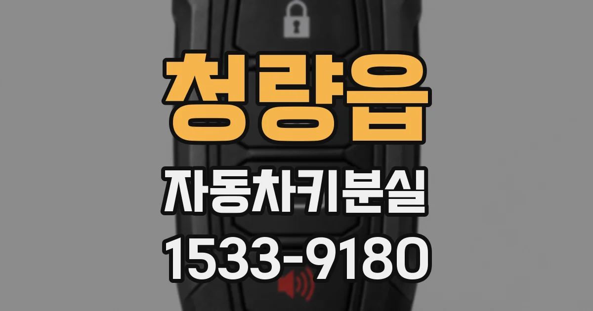 청량읍 자동차키분실