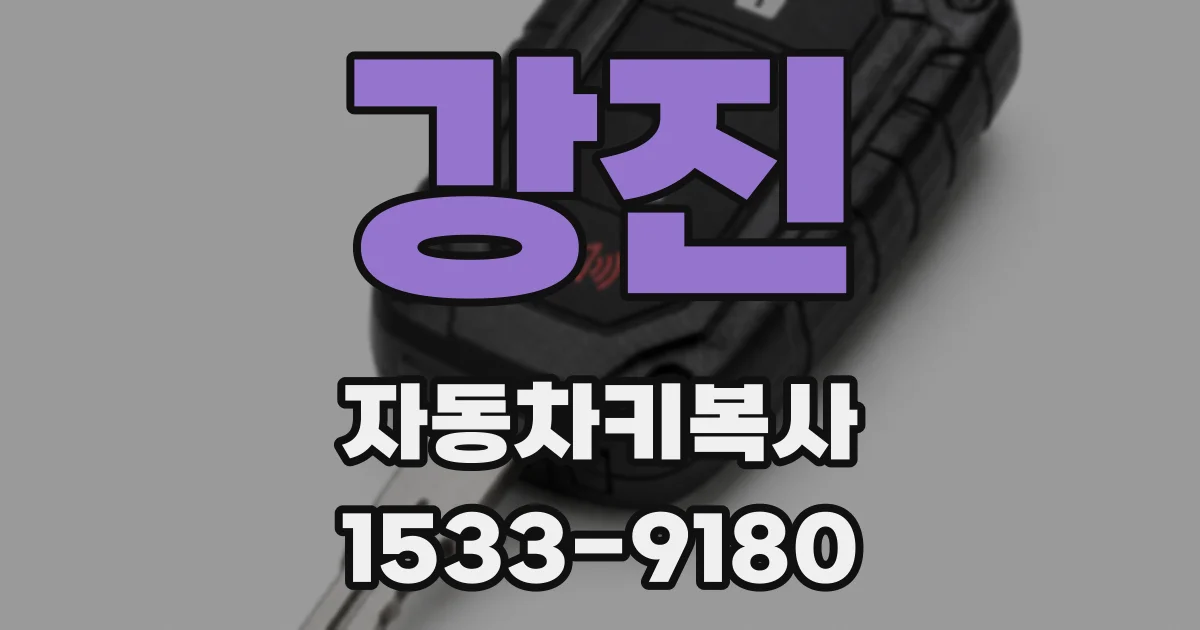 강진 자동차키복사
