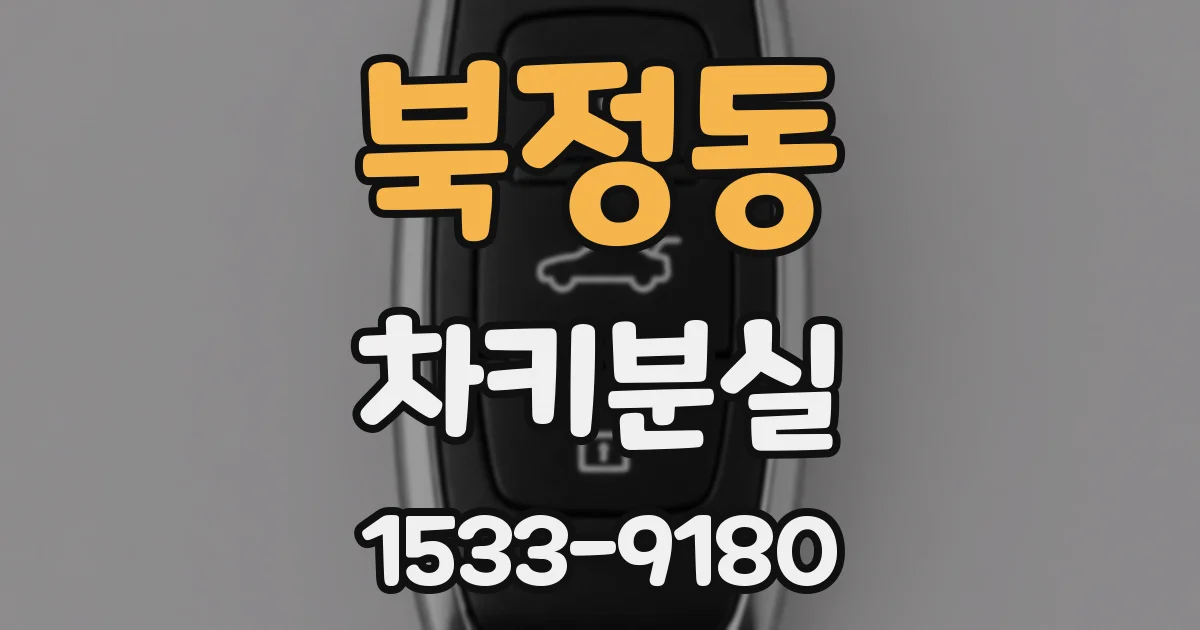 북정동 차키분실