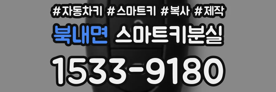 북내면 스마트키분실