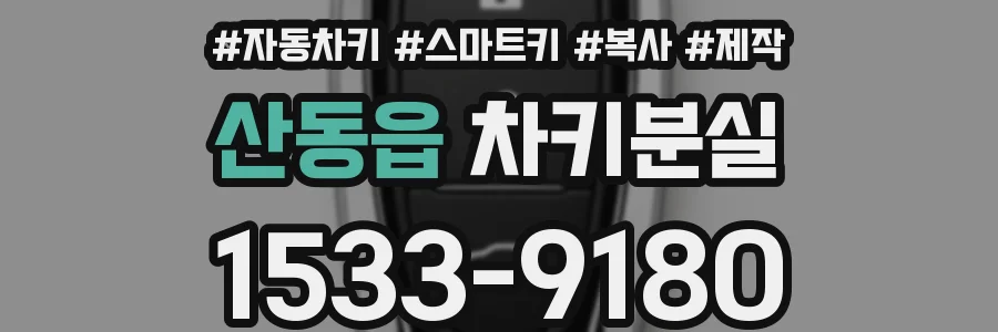 산동읍 차키분실