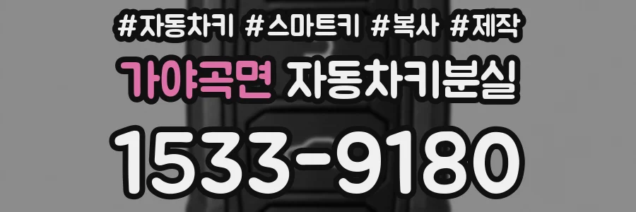 가야곡면 자동차키분실