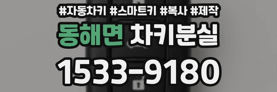동해면 차키분실