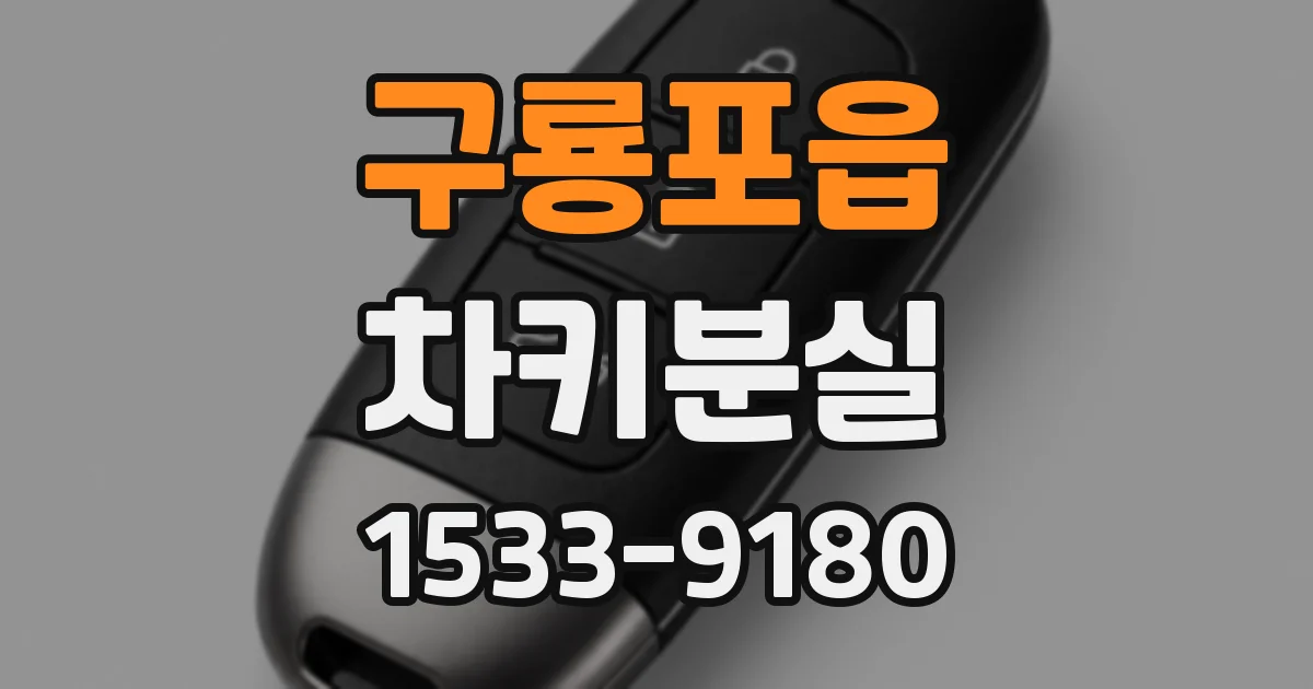 구룡포읍 차키분실