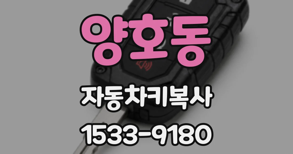 양호동 자동차키복사