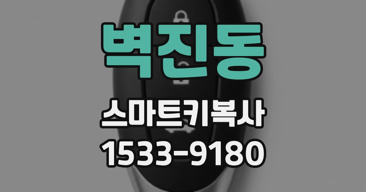 벽진동 스마트키복사
