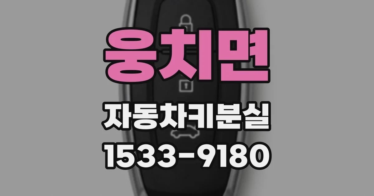 웅치면 자동차키분실