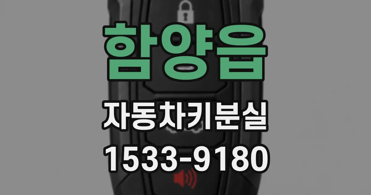 함양읍 자동차키분실