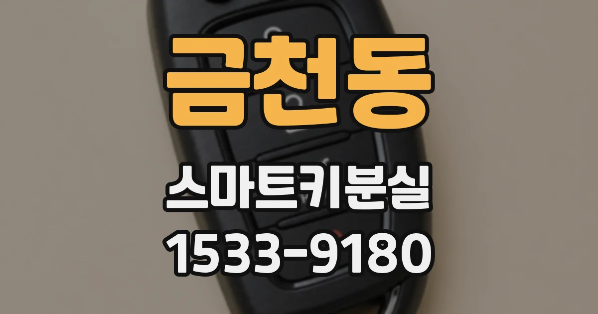 금천동 스마트키분실