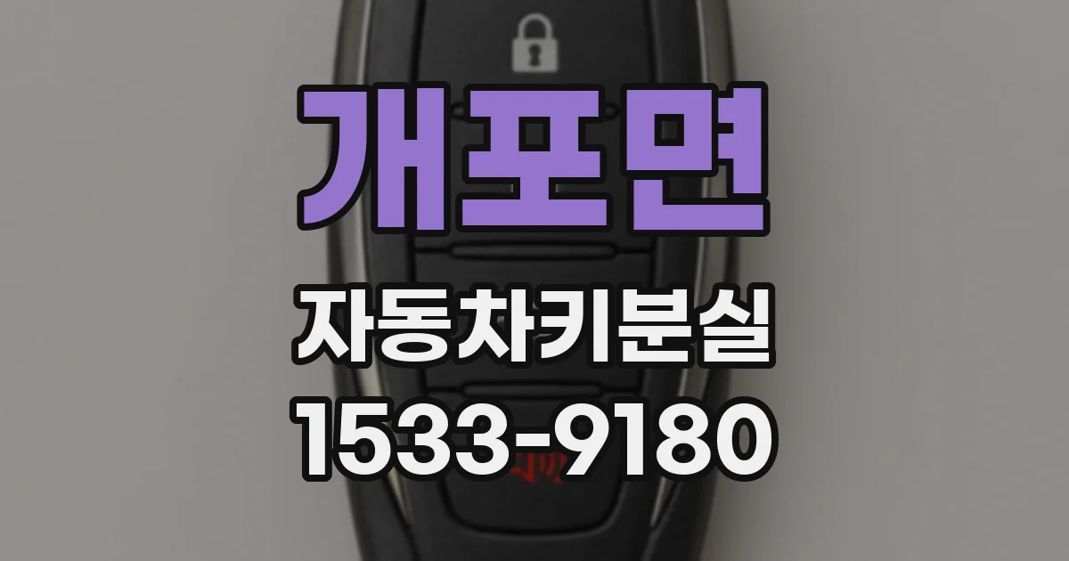 개포면 자동차키분실