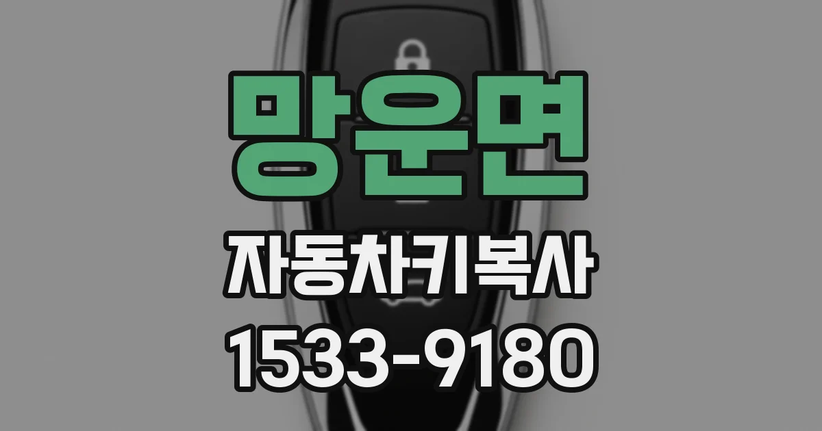 망운면 자동차키복사
