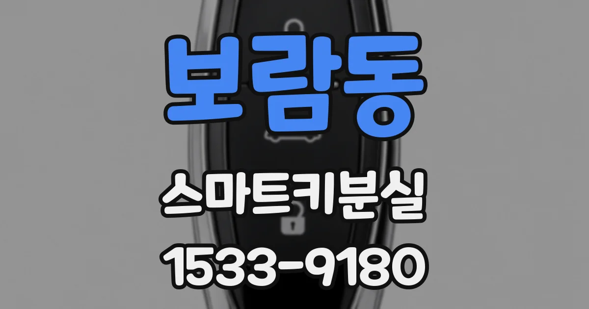 보람동 스마트키분실