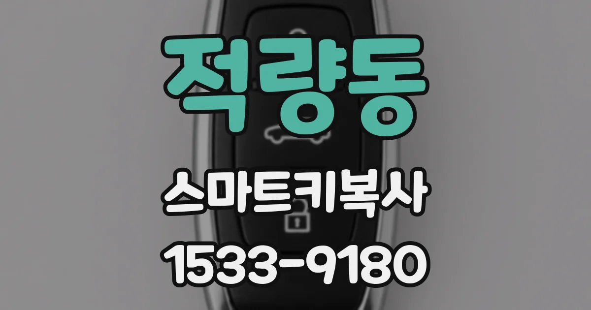적량동 스마트키복사