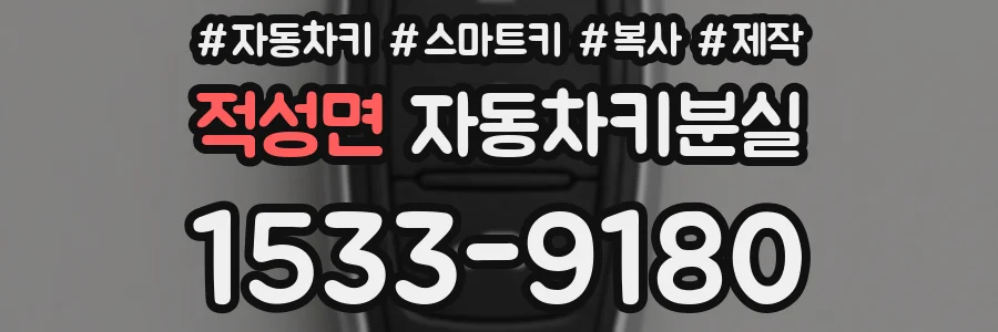 적성면 자동차키분실