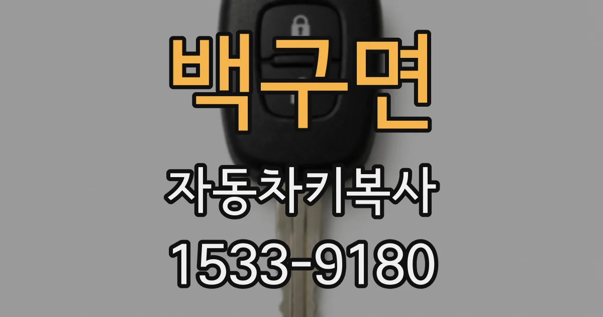 백구면 자동차키복사